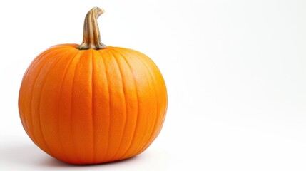 Obraz premium Healthy Pumpkin Displayed Against White Surface