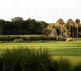 South Carolina sunset over the golf course © Cavan