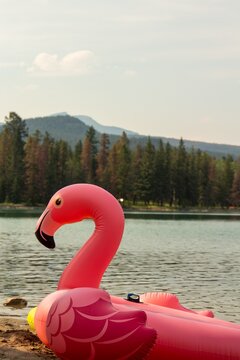 Giant Inflatable Flamingo On A Serene Lake