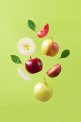 Red, yellow and green apples are flying and levitating on a bright green background. Summer or fall fruit and healthy snack. Creative food concept