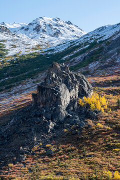Fall colors and fresh snow above Savage Rock along Savage River Loop Trail, Denali Park, Alaska, USA