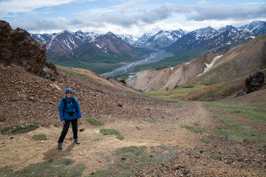 Female hiker on Cathedral Mountain, upper Teklanika River, Denali National Park, Alaska, USA