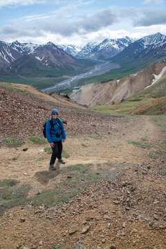 Female hiker on Cathedral Mountain, upper Teklanika River, Denali National Park, Alaska, USA