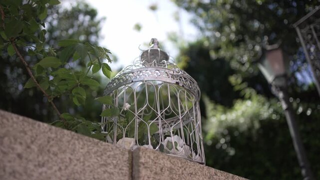 Decorative birdcage perched on a garden wall, surrounded by lush greenery