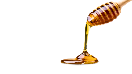 honey dripping from dipper. element for design