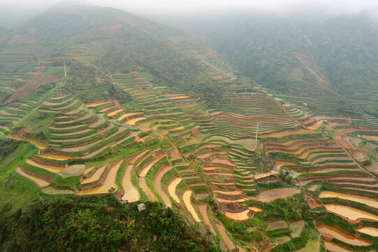 Vast terraced farmland in Vietnam; Nam Pam, Muong La District, Son La, Vietnam