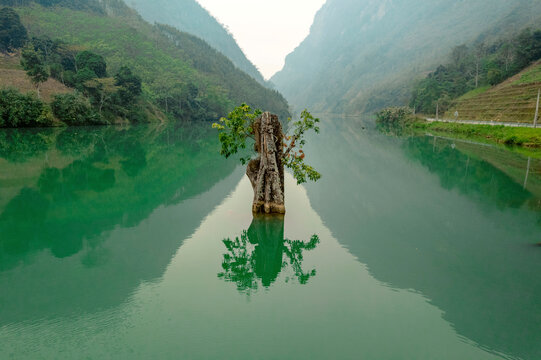Beautiful tranquility in the Gam River of Vietnam, with a tree stump and foliage in the middle of a tranquil green river and lush landscape surrounding it; Ly Bon, Bao Lam District, Cao Bang, Vietnam