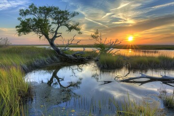 Fototapeta premium Louisiana Nature: Sunrise over Cypremort Point Marshes with Sky Reflection