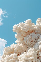 White Coral Against a Blue Sky