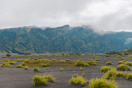 Vegetation and clouds in Bromo Tengger Semeru National Park in East Java, Indonesia; Ranupani, East Java, Indonesia