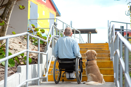 Paraplegic man in a manual wheelchair at the bottom of steps with his service dog