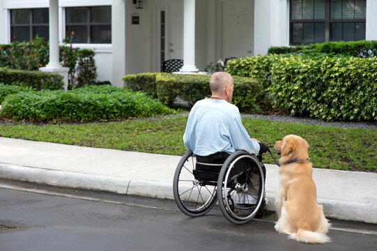 Paraplegic man in a manual wheelchair with a service dog restricted at a curb outside of a residential building; Boynton Beach, Florida, United States of America