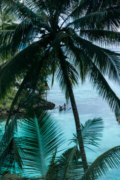 Composite of palm fronds and boating in ocean water in a tropical scene, Indonesia; Luk Panenteng, Kecamatan Bulagi Utara, Kabupaten Banggai Kepulauan, Sulawesi Tengah, Indonesia