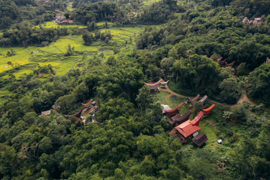 Aerial view of trees and Tongkonan, traditional ancestral houses of the Torojan People in North Toraja, Indonesia; Rante Pao, North Toraja, South Sulawesi, Indonesia