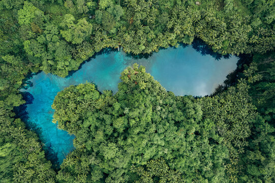 Beautiful tropical lake with clear water and palm trees, Danau Paisu Pok Luk Panenteng, Indonesia