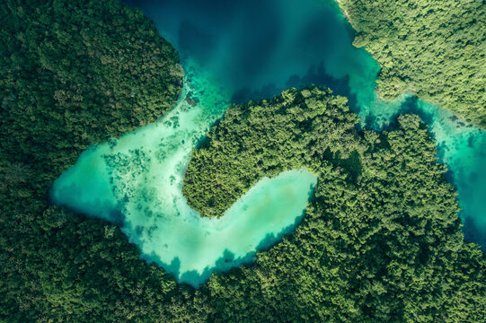 View from directly above the coastline with lush vegetation and aquamarine water at Teluk Lalong, Central Sulawesi, Indonesia; Teluk Lalong, Pasir Putih, Banggai Laut, Central Sulawesi, Indonesia