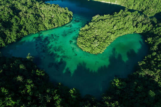 Aerial view of the lush green vegetation and clear green water along the coastline of Central Sulawesi, Indonesia; Teluk Lalong, Pasir Putih, Banggai Laut, Central Sulawesi, Indonesia