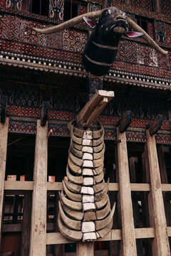 Animal themed display at a cultural site, Ke'te Kesu' ancient village, North Toraja, Indonesia; Ke'te Kesu' Toraja, Rante Pao area, North Toraja, South Sulawesi, Indonesia