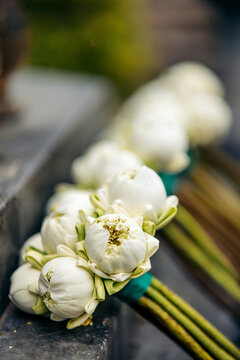 White flower buds and stems tied in a cluster at the Van Son Pagoda; Con Dao, Ba Ria - Vung Tau, Vietnam