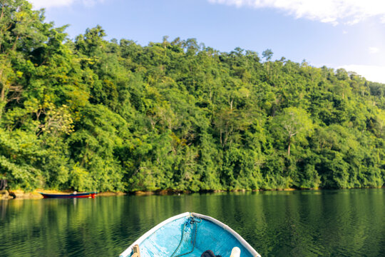 Lush green vegetation reflected in tranquil water with bow of boat pointing towards the shoreline, Central Sulawesi, Indonesia; Teluk Lalong, Pasir Putih, Banggai Laut, Central Sulawesi, Indonesia
