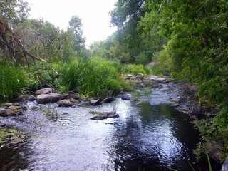 The blue sky and coastal rocks are reflected in the water of the small lake. Aquatic plants float on the surface