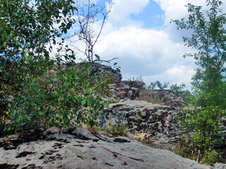 Green trees grow on picturesque granite rocks. Summer natural landscape