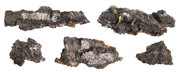 old birch bark on a white isolated background