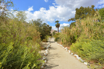 Whitewater preserve trail in California, USA