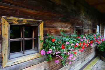 Blumenschmuck im Freilichtmuseum