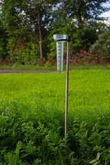Rain gauge for agricultural use in a field with carrots