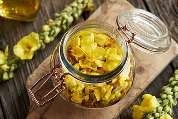 Preparation of herbal syrup from fresh mullein or Verbascum flowers and sugar in a glass jar