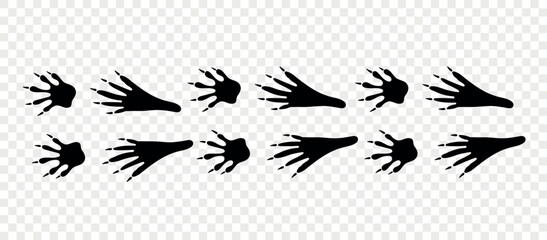 Footpath trail of animals. Raccoon paws. Raccoon paws walking randomly print vector isolated on checkered background. © Loya.art