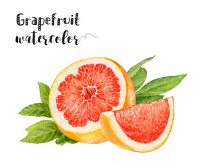 Watercolor grapefruit illustration, perfect for botanical, citrus, and vibrant art projects