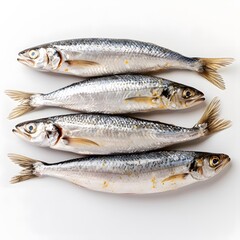 Fototapeta premium Four Fresh Fish on White Background