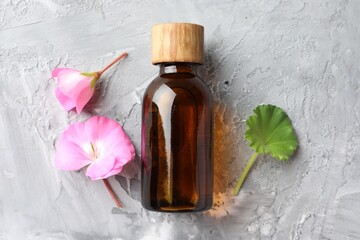 Bottle of geranium essential oil and beautiful flowers on light grey textured table, flat lay