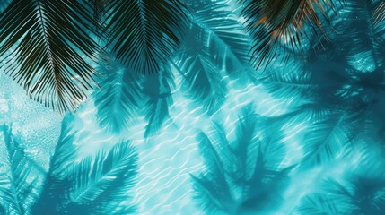 Shadow of palm leaves on blue water. Top view.