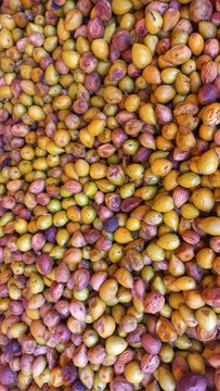 Argan tree nuts (Argania spinosa), Colorful Argan seeds