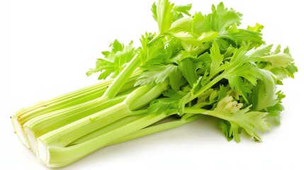 Fresh organic celery bunch isolated on white background. Healthy food concept.