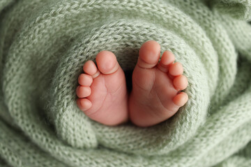 The tiny foot of a newborn. Soft feet of a newborn in a olive green woolen blanket. Close up of toes, heels and feet of a newborn baby. Studio Macro photography. Woman's happiness.