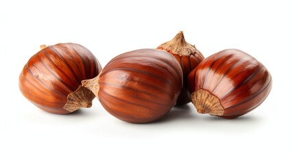 Obraz premium Four shiny brown chestnuts in their shells, isolated on a white background.