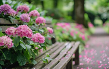 Pink Hydrangeas On A Bench
