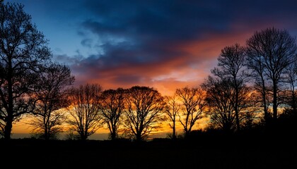 Fototapeta premium Sunset panorama with dark trees silhouettes and dramatic colorful sky