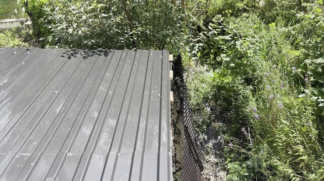 Rain Drops Pattering on a Metal Roof