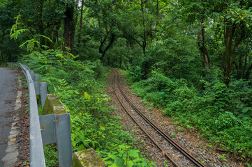 Toy train line, narrow gauge train line passing through Himalayan jungle. Darjeeling Himalayan Railway, narrow gauge railway between New Jalpaiguri and Darjeeling.