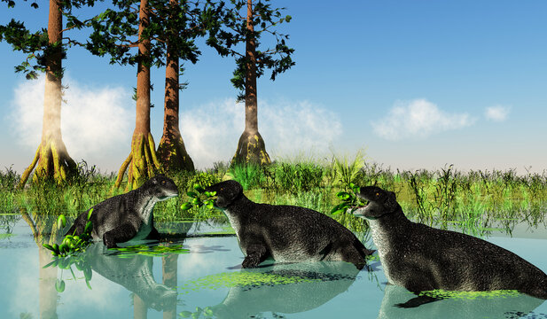 Delphinognathus Therapsids Eat Plants - Delphinognathus was a synapsid herbivorous animal that lived in South Africa during the Permian Period.