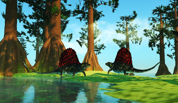 Dimetrodons in Swamp - Dimetrodon was a mammal-like sailback reptile that lived in the Permian Period of North America and Europe.