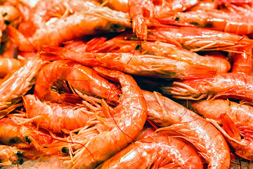 Sea food - red scampi in the market