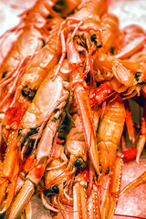 Sea food - red scampi