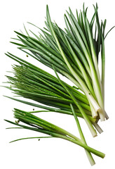 Obraz premium delicious Chives isolated on white background