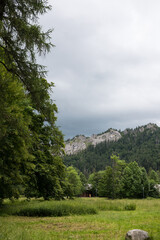 Rocky mountains can be seen between the trees.  Rocky Tatras.
